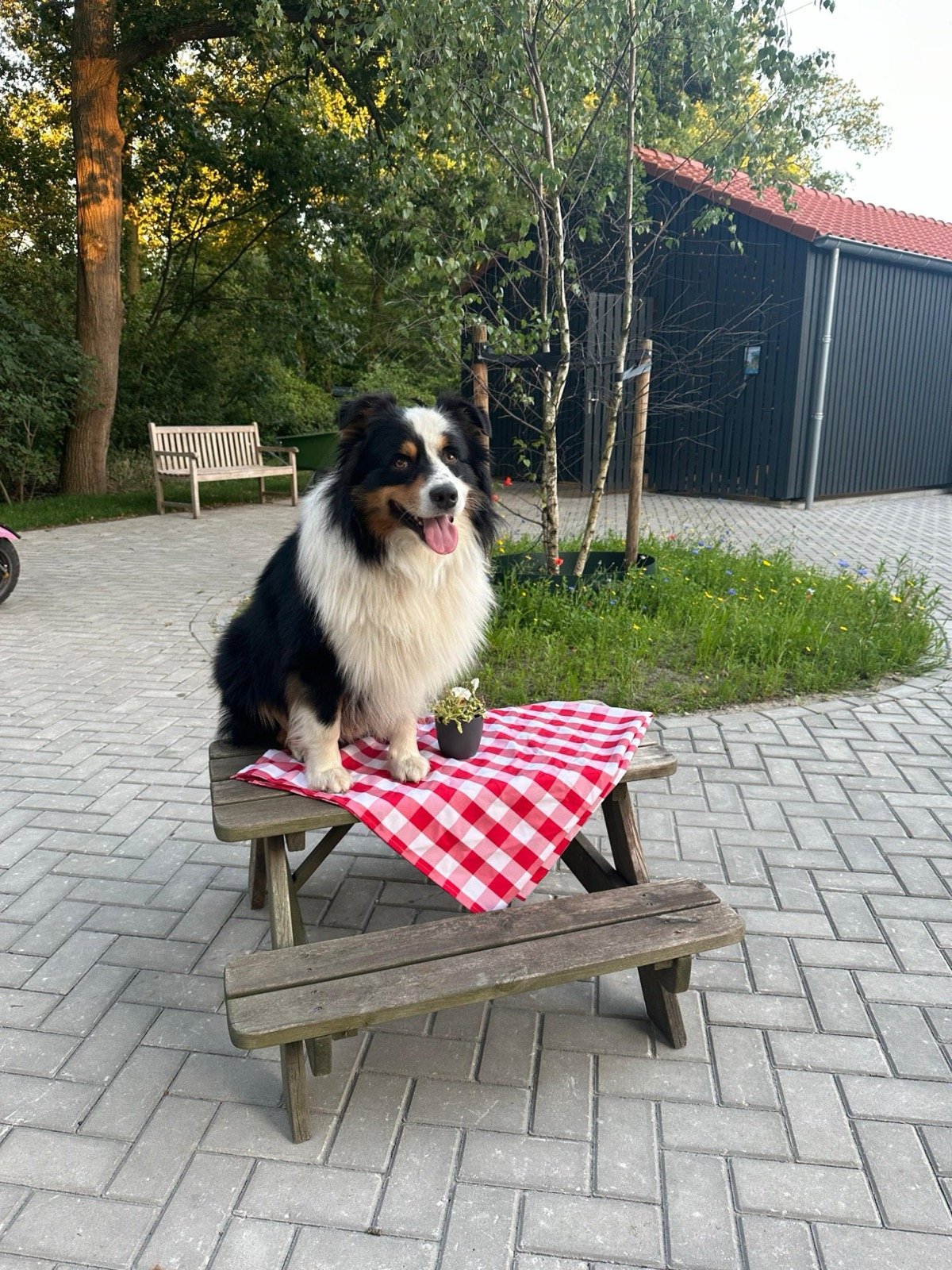Jim op de picknicktafel