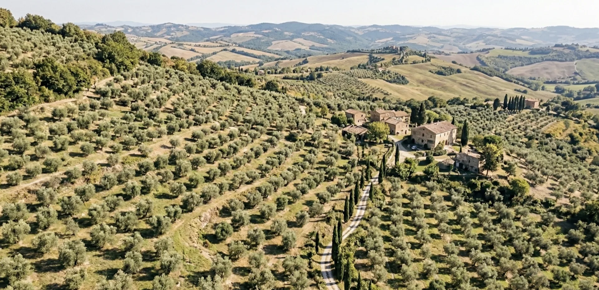 De heuvels van Le Marche vanuit de lucht