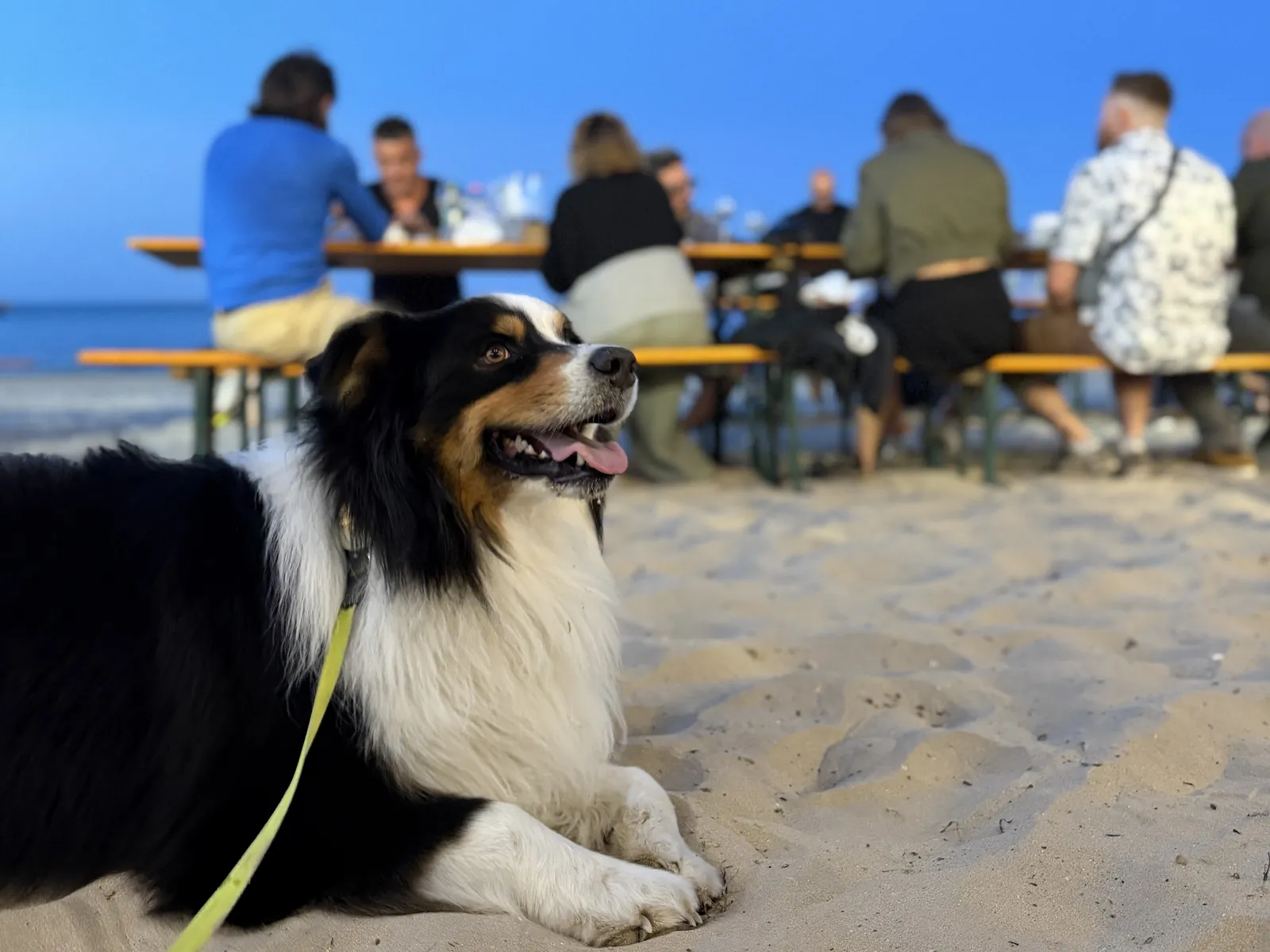 Het terras van Il Cozzaro Nero op het strand van Porto San Giorgio